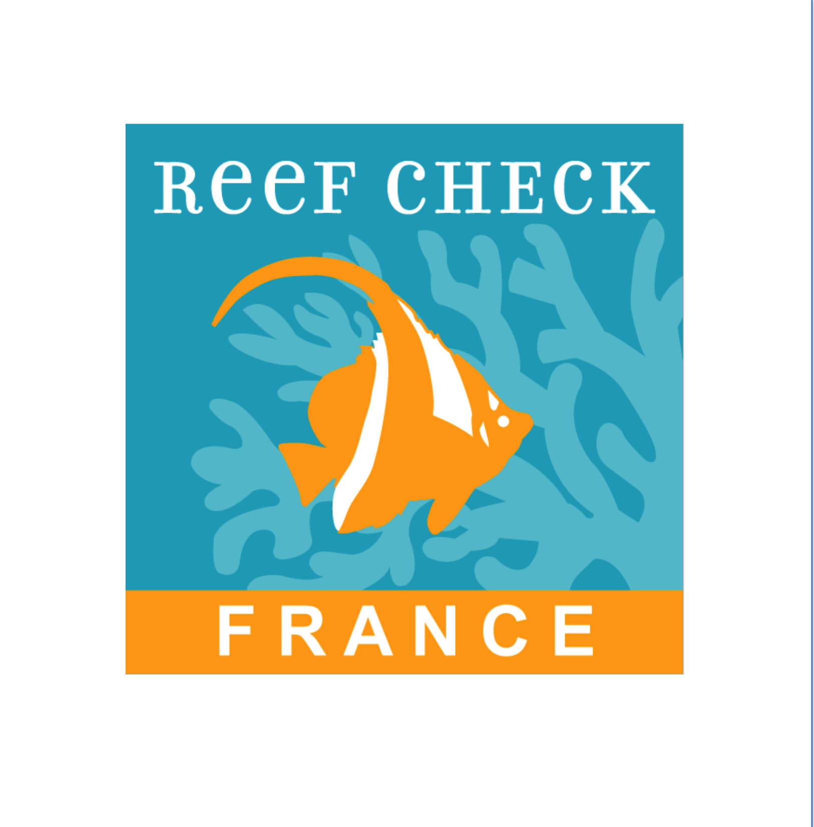 REEF CHECK FRANCE